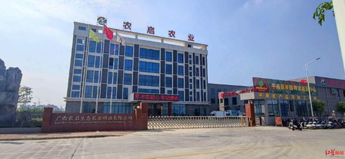 紅星調查 三家公司中標廣西平南學校食堂食品配送項目后,統(tǒng)一配送的大米被緊急召回