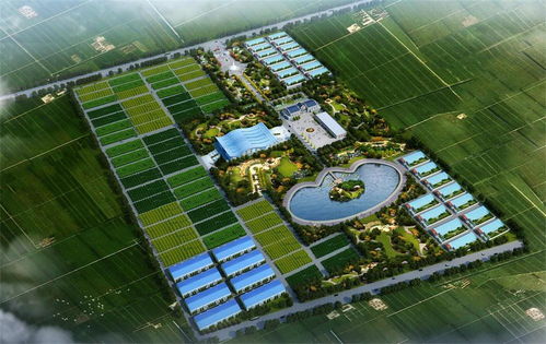 涼城縣供熱管網(wǎng)概念規(guī)劃設(shè)計(jì)怎么寫(xiě)