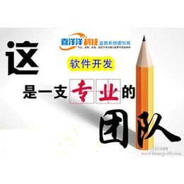 松原*開發*軟件公司